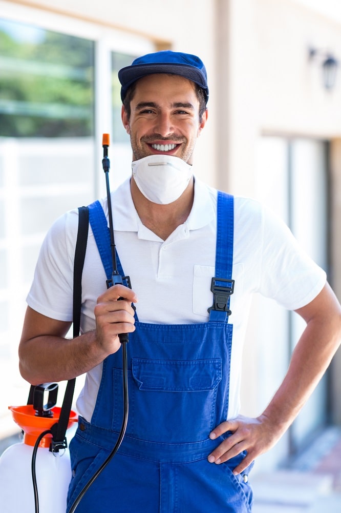 Request a Quote Termite Technology