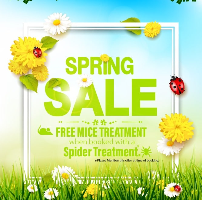 Spring Sale Offer - Termite Technology